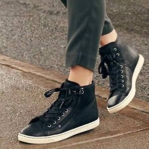 Ugg Shoes | Ugg Australia Blaney leather high top sneakers.m